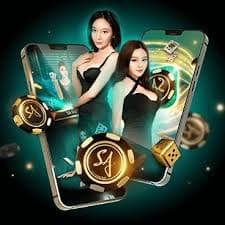 6mbet